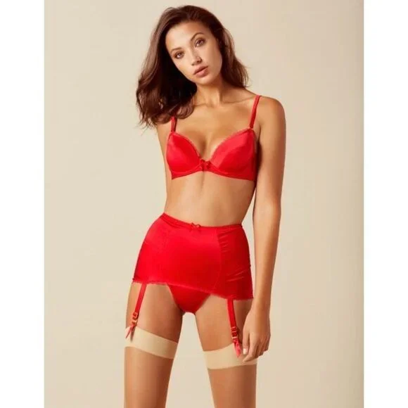 Agent Provocateur Felinda Red Silk Brief AP4 Large - Picture 4 of 11